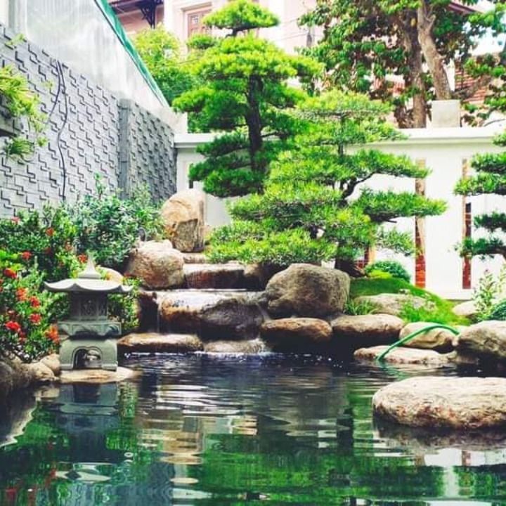 Có nên xây hồ cá Koi trong nhà không?