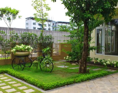 Cung cấp và trồng Cây bóng mát