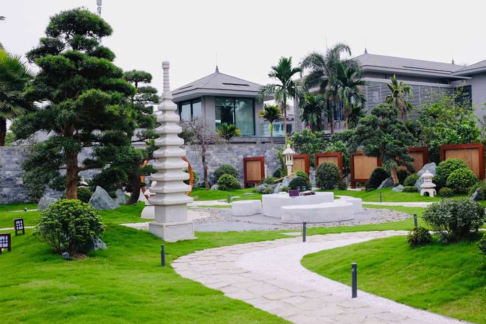 cay-bong-mat-san-vuon-biet-thu