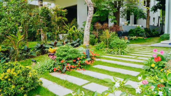 thi-cong-san-vuon-nha-hang-binh-duong4