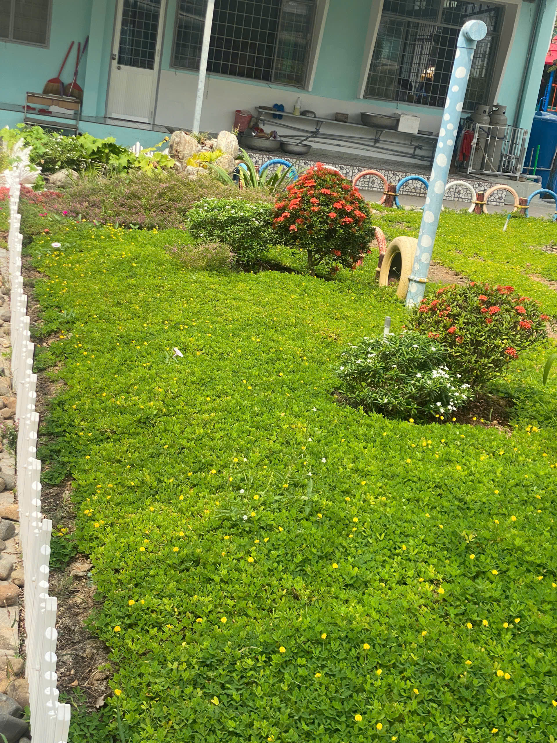 thi cong san vuon truong mam non tai tay ninh (5)