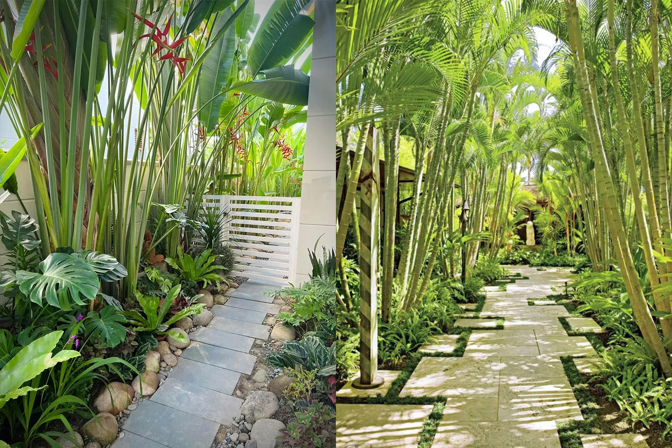 thi-cong-vuon-nhiet-doi-cho-nha-hang