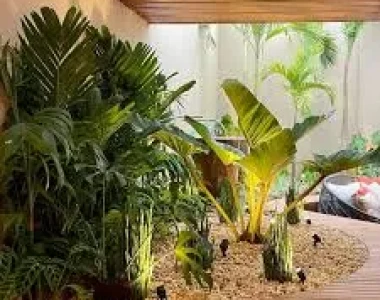 Thi công vườn nhiệt đới cho nhà hàng