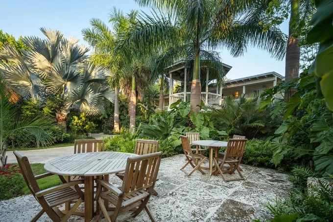 thi-cong-vuon-nhiet-doi-cho-nha-hang9