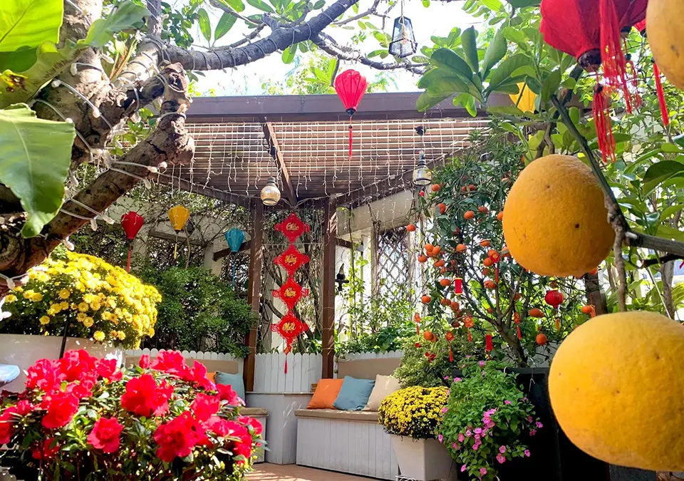 trang tri san vuon dip tet