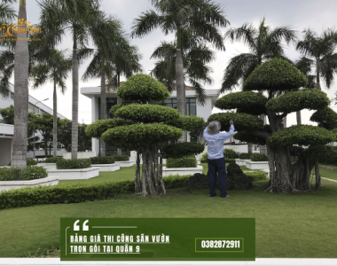 Bảng giá Thi công sân vườn trọn gói tại Quận 9