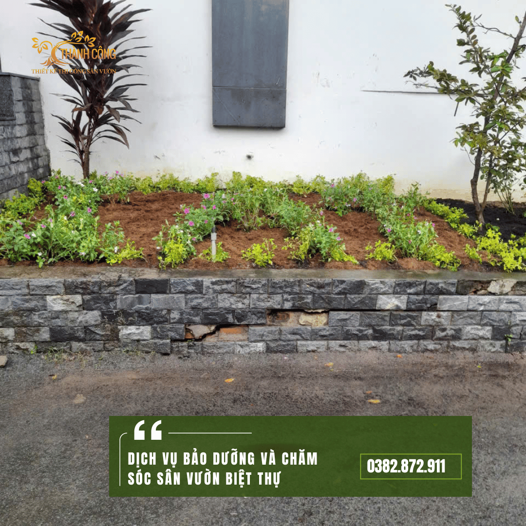 bao-duong-san-vuon-biet-thu (2)