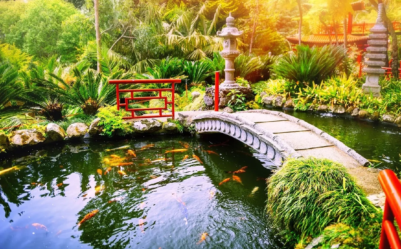 Biệt thự có hồ cá và cầu gỗ