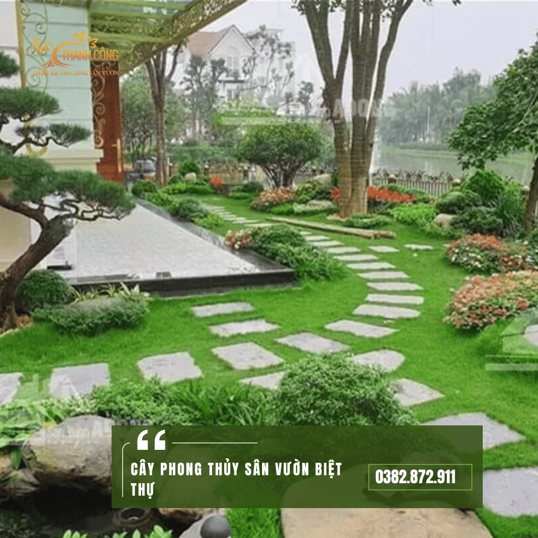 cay-phong-thuy-san-vuon-biet-thu1