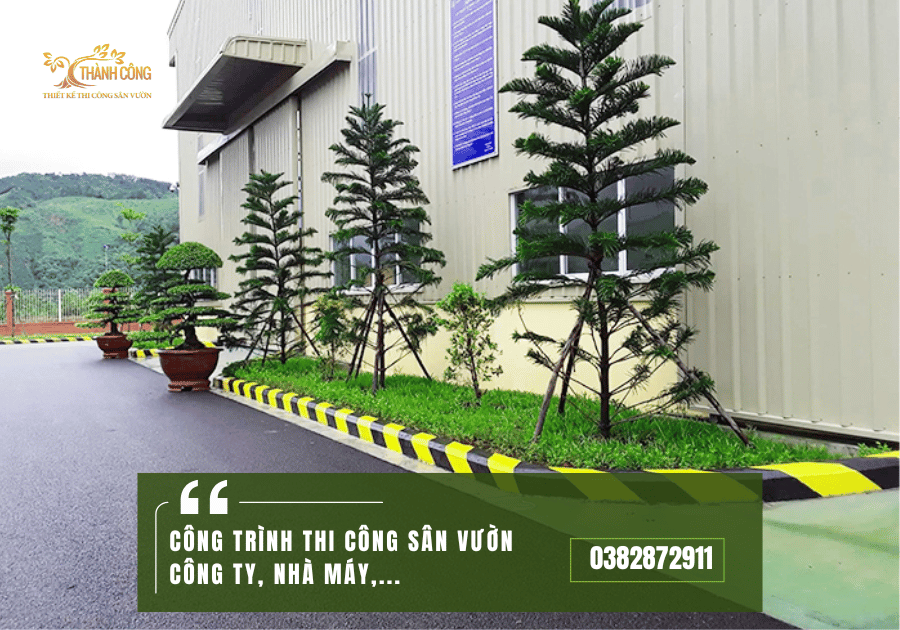 CÔNG TRÌNH THI CÔNG SÂN VƯỜN CÔNG TY, NHÀ MÁY,... (2)