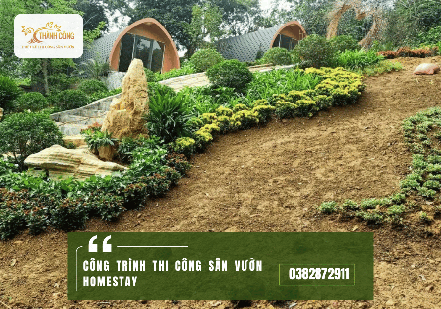 CÔNG TRÌNH THI CÔNG SÂN VƯỜN HOMESTAY (2)