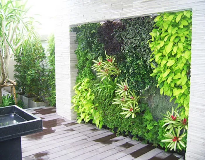 Góc sân vườn mini với chậu cây treo tường