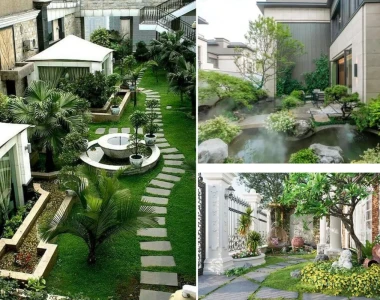 Gợi ý cây cảnh phù hợp cho sân vườn nhà phố