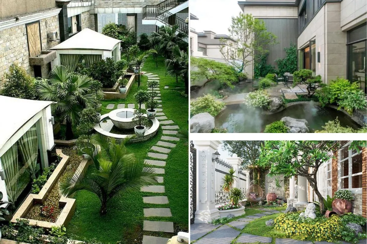 Gợi ý cây cảnh phù hợp cho sân vườn nhà phố