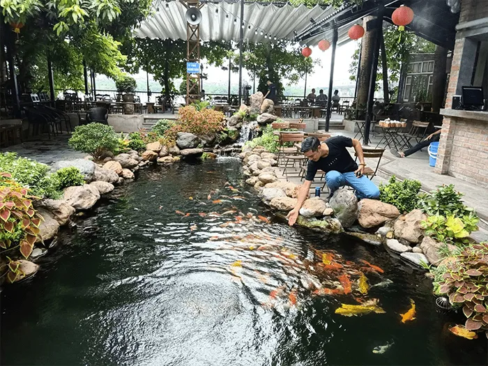 ho-ca-koi-quan-cafe-q1