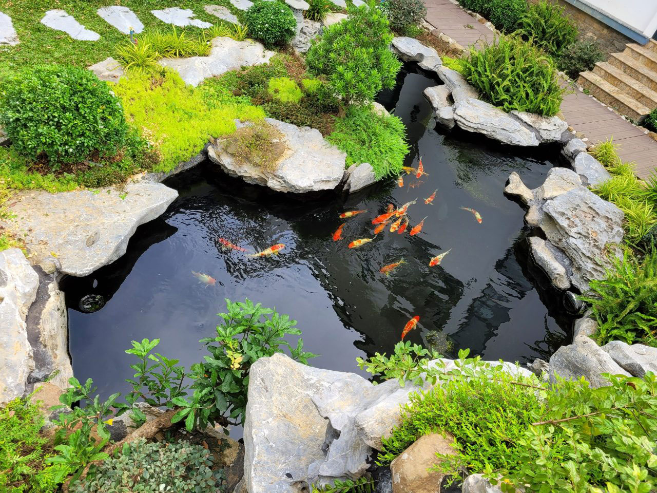 ho-koi-dep
