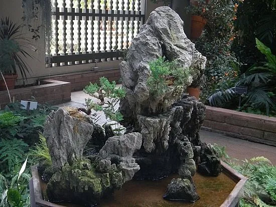 Hòn Non Bộ Kết Hợp Bonsai