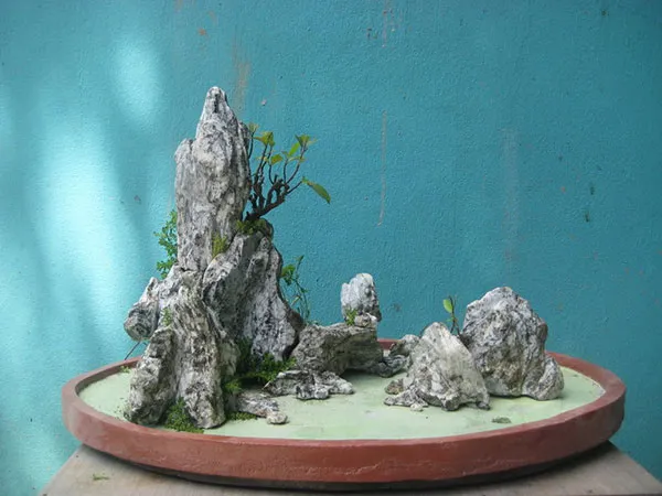 hon-non-bo-mini-de-ban-cho-phong-khach-1