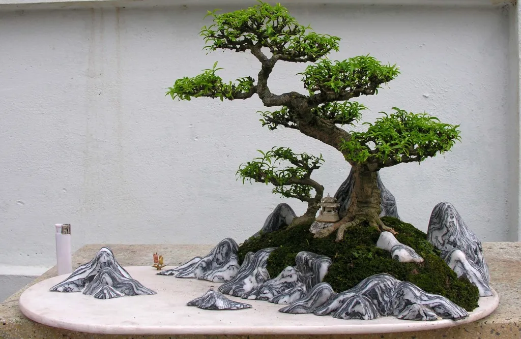 hon-non-bo-mini-de-ban-cho-phong-khach-3