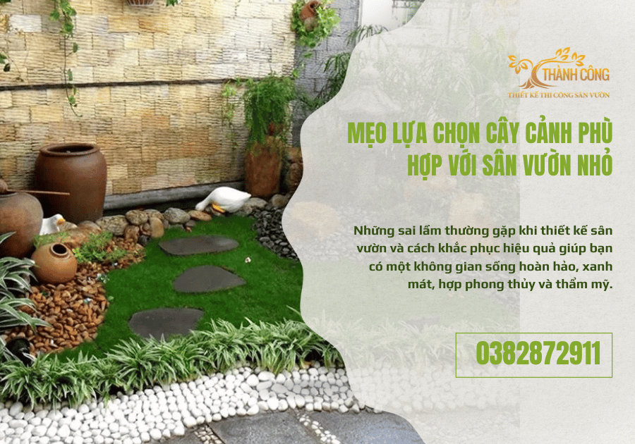 Mẹo lựa chọn cây cảnh phù hợp với sân vườn nhỏ 1