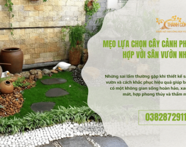 Mẹo lựa chọn cây cảnh phù hợp với sân vườn nhỏ