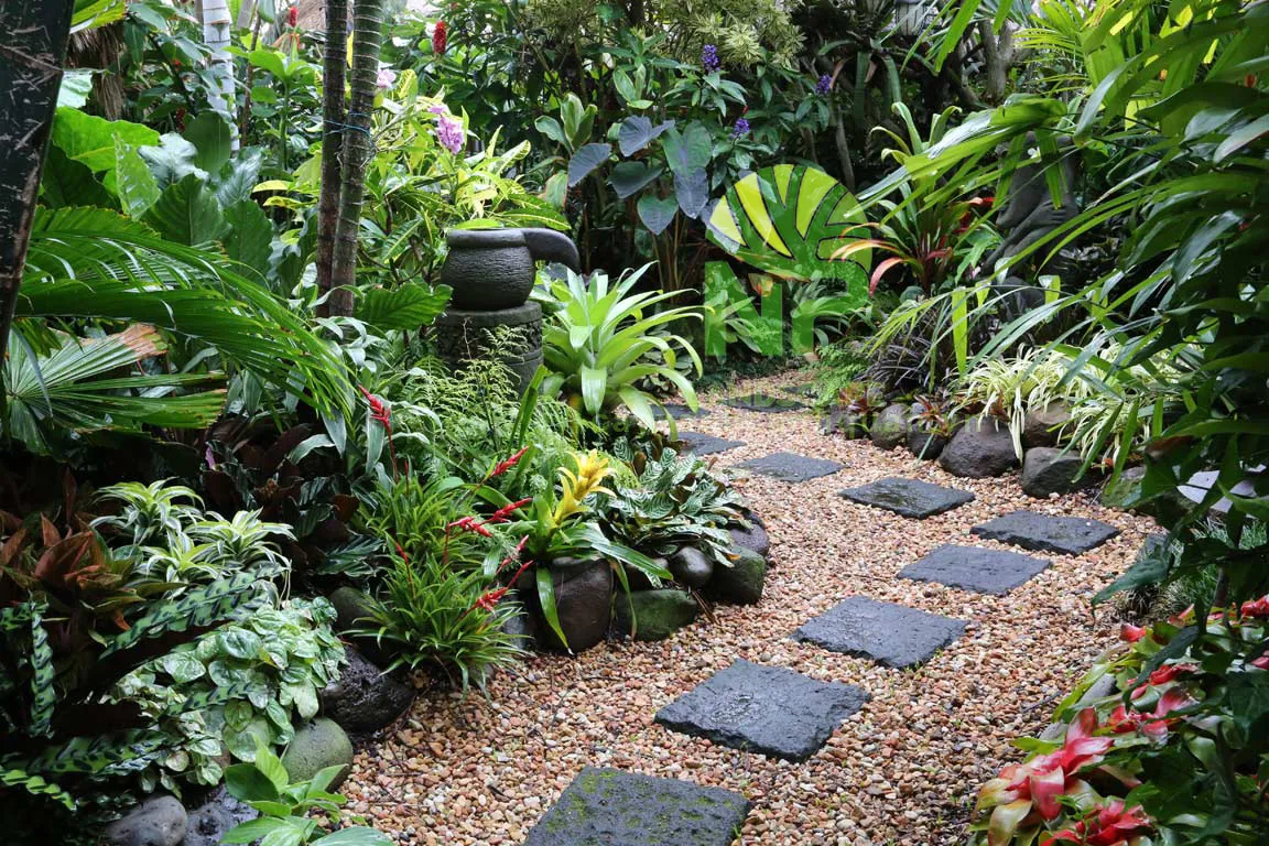 Sân vườn nhiệt đới với cây lá lớn