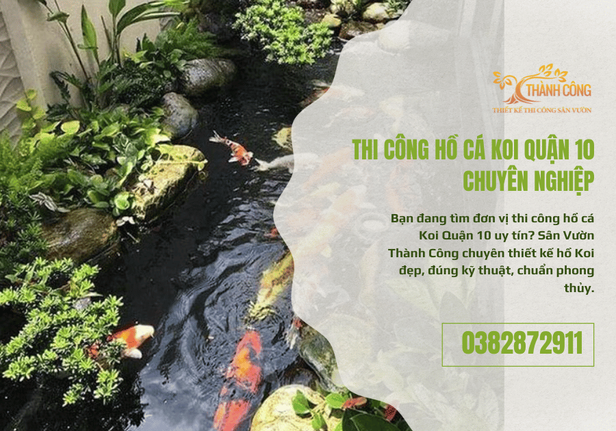 Thi Công Hồ Cá Koi Quận 10 Chuyên Nghiệp (1)