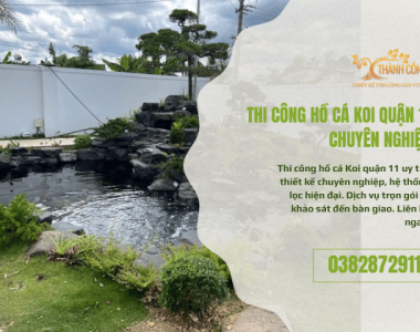 Thi Công Hồ Cá Koi Quận 11 - Chuyên Nghiệp, Bền Đẹp, Chuẩn Phong Thủy
