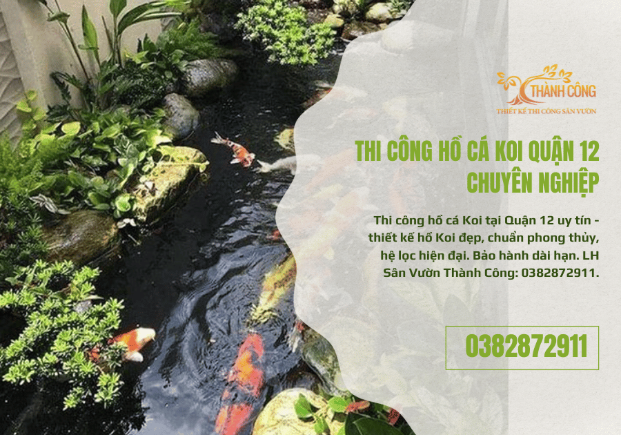 Thi Công Hồ Cá Koi Quận 12 Chuyên Nghiệp 1