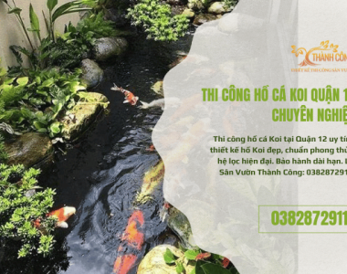 Thi Công Hồ Cá Koi Quận 12