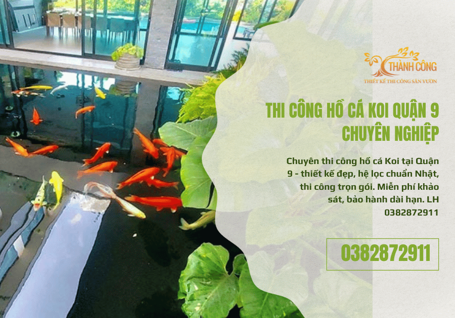 Thi Công Hồ Cá Koi Quận 9 (2)
