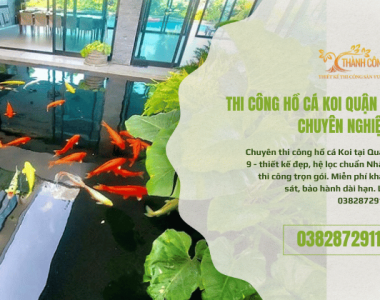 Thi Công Hồ Cá Koi Quận 9 - Chuyên Nghiệp, Chuẩn Phong Thủy