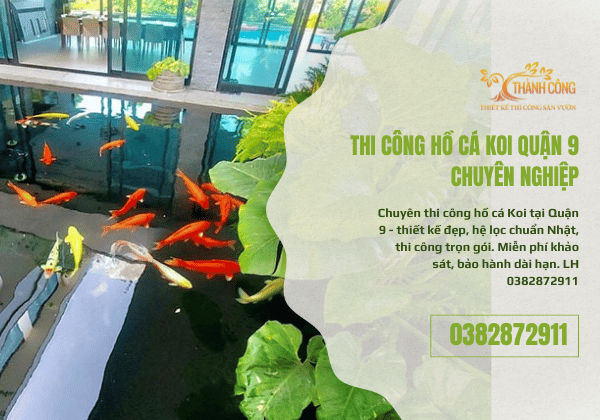 Thi Công Hồ Cá Koi Quận 9 - Chuyên Nghiệp, Chuẩn Phong Thủy
