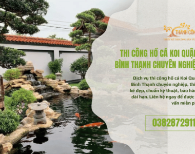 Thi Công Hồ Cá Koi Quận Bình Thạnh – Đẹp, Bền, Hợp Phong Thủy