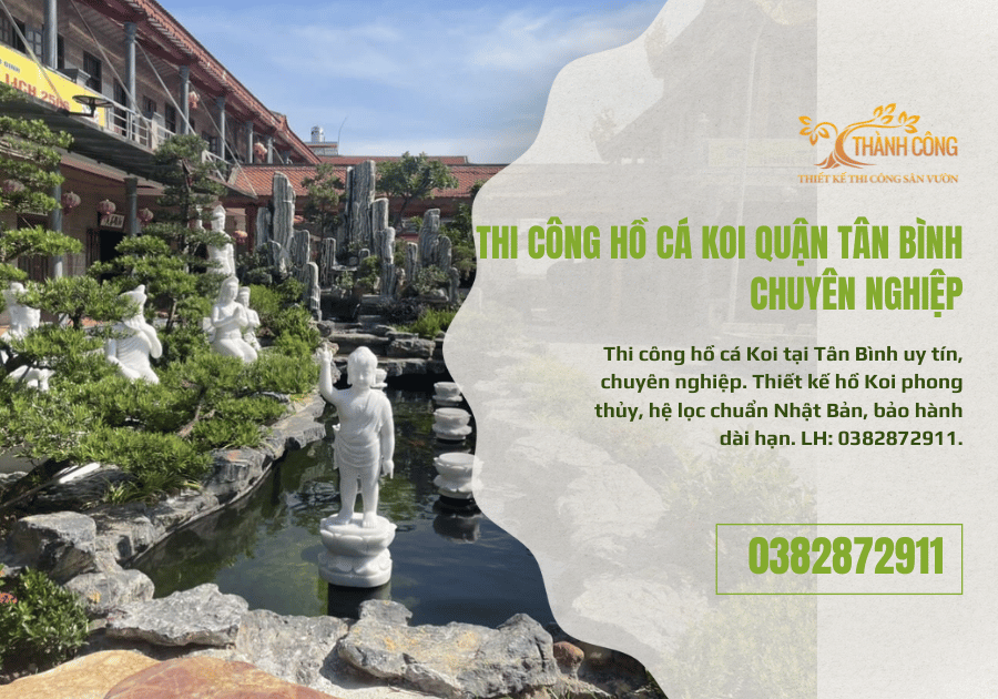Thi Công Hồ Cá Koi Quận Tân Bình Chuyên Nghiệp (1)