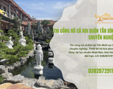 Thi Công Hồ Cá Koi Tân Bình
