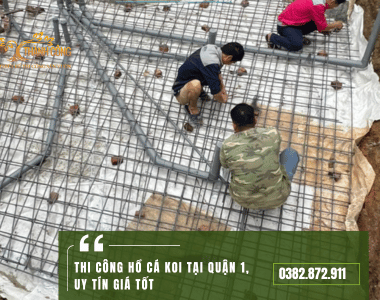 Thi công hồ cá koi tại Quận 1