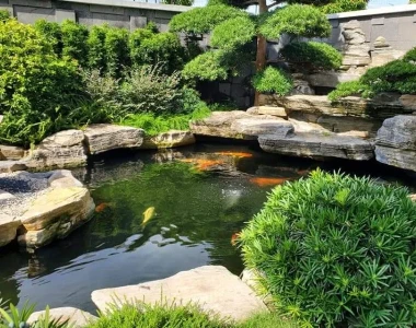 Top 10 Công Ty Thi Công Hồ Cá Koi Uy Tín Hàng Đầu Việt Nam