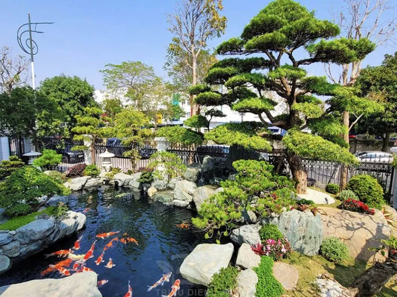 tieu-canh-san-vuon-biet-thu-ho-koi