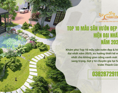 Top 10 mẫu sân vườn đẹp & hiện đại nhất năm 2025