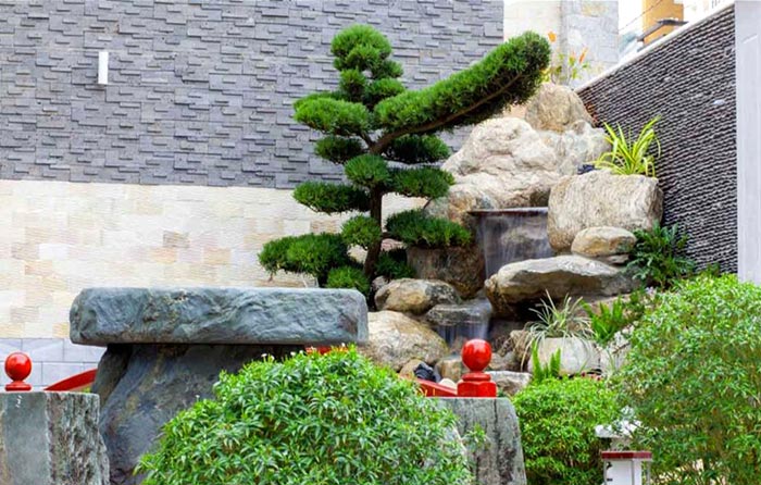 Tường nước kết hợp tiểu cảnh bonsai