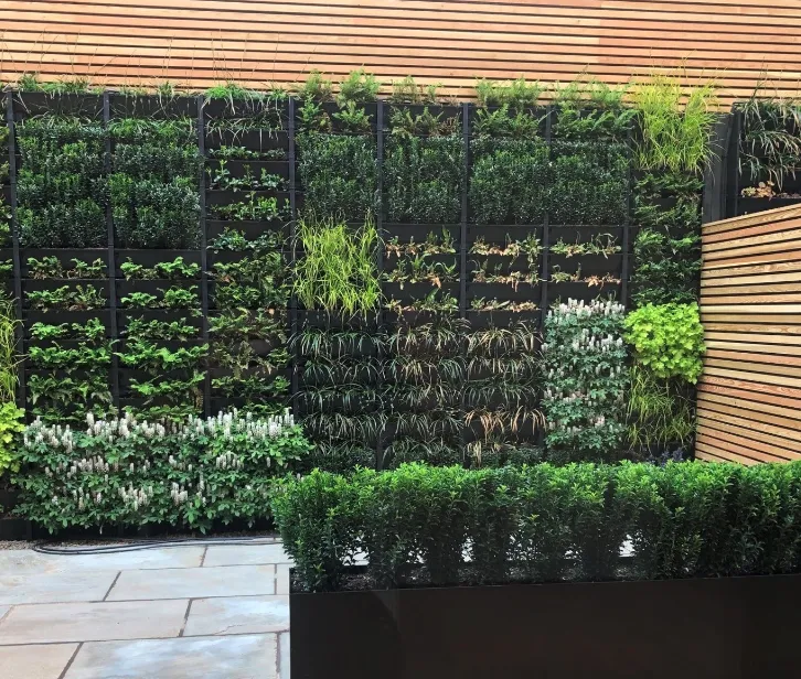 Vườn đứng (vertical garden)
