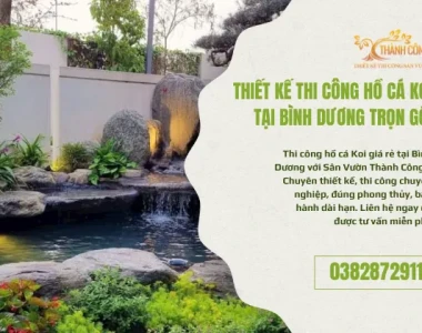 Hồ cá Koi giá rẻ tại Bình Dương