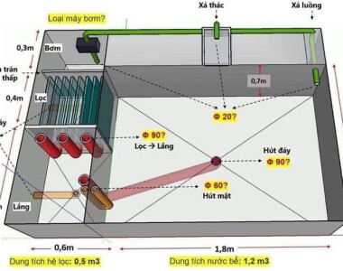 Máy Bơm Và Hệ Thống Lọc Hồ Cá Koi