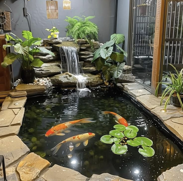 hồ cá koiiiii