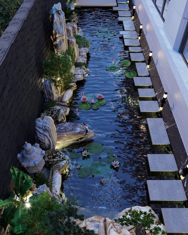 hồ cá tối giản