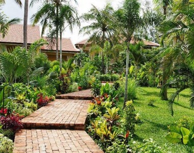 #1 Cây bụi trang trí