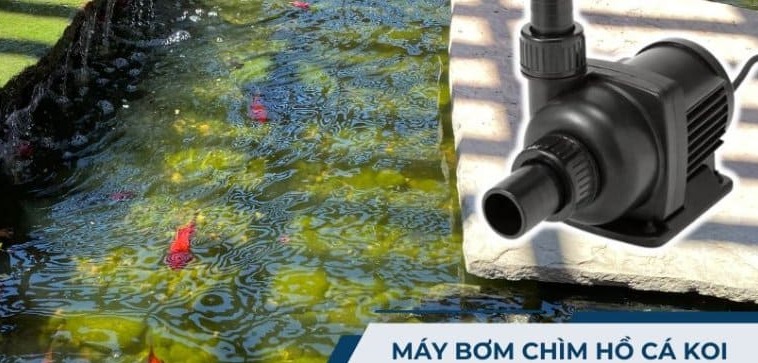 may-bom-chim-ho-ca-koi
