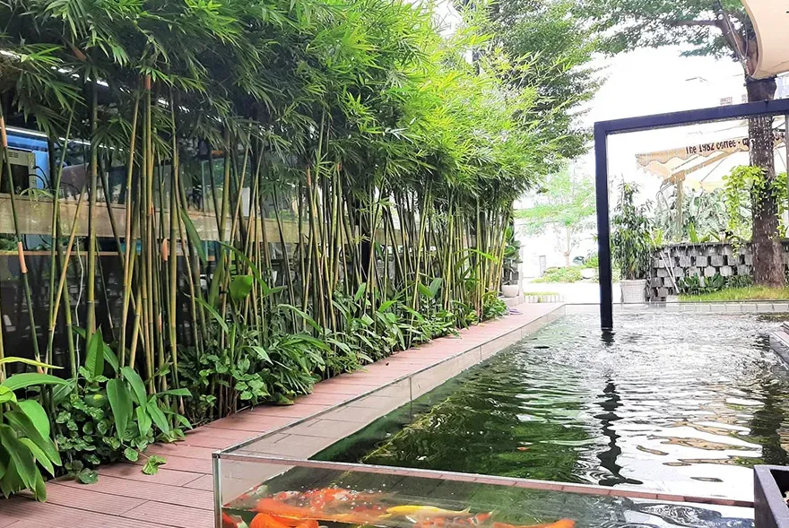 thiet-ke-thi-cong-ho-ca-koi-6-sa