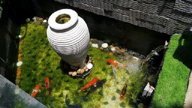 đọng rêu